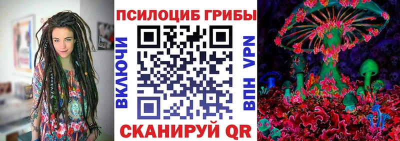 где купить наркоту  Тосно  mega ONION  Псилоцибиновые грибы мицелий 